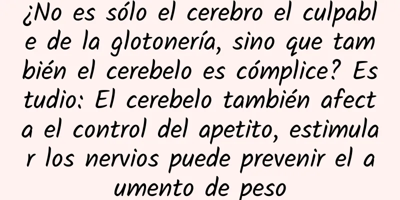 ¿No es sólo el cerebro el culpable de la glotonería, sino que también el cerebelo es cómplice? Estudio: El cerebelo también afecta el control del apetito, estimular los nervios puede prevenir el aumento de peso