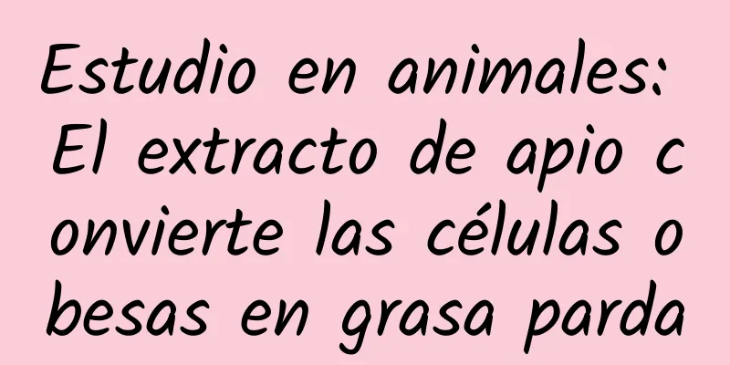 Estudio en animales: El extracto de apio convierte las células obesas en grasa parda