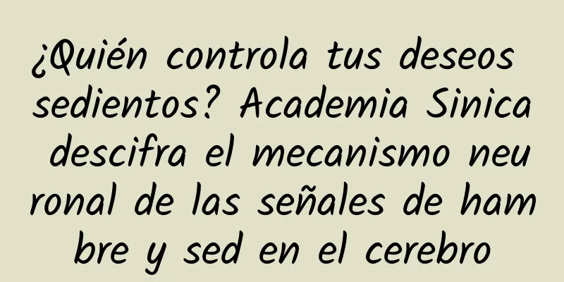 ¿Quién controla tus deseos sedientos? Academia Sinica descifra el mecanismo neuronal de las señales de hambre y sed en el cerebro