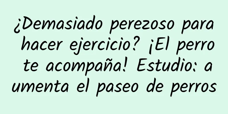 ¿Demasiado perezoso para hacer ejercicio? ¡El perro te acompaña! Estudio: aumenta el paseo de perros