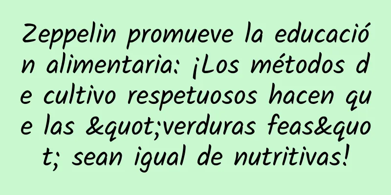 Zeppelin promueve la educación alimentaria: ¡Los métodos de cultivo respetuosos hacen que las "verduras feas" sean igual de nutritivas!
