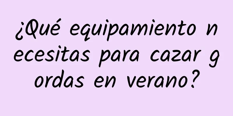 ¿Qué equipamiento necesitas para cazar gordas en verano?