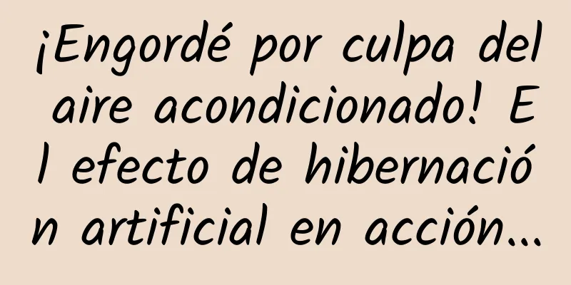 ¡Engordé por culpa del aire acondicionado! El efecto de hibernación artificial en acción...