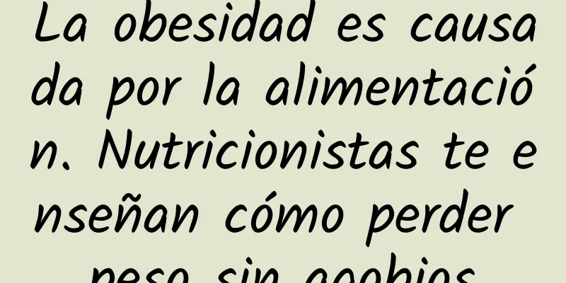 La obesidad es causada por la alimentación. Nutricionistas te enseñan cómo perder peso sin agobios