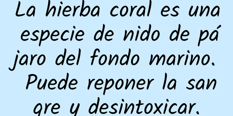 La hierba coral es una especie de nido de pájaro del fondo marino. Puede reponer la sangre y desintoxicar.