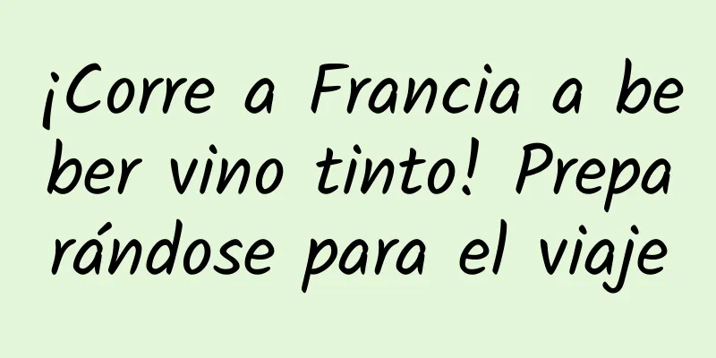 ¡Corre a Francia a beber vino tinto! Preparándose para el viaje