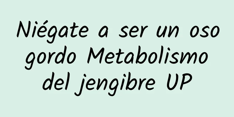Niégate a ser un oso gordo Metabolismo del jengibre UP