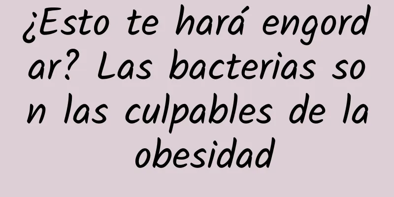 ¿Esto te hará engordar? Las bacterias son las culpables de la obesidad