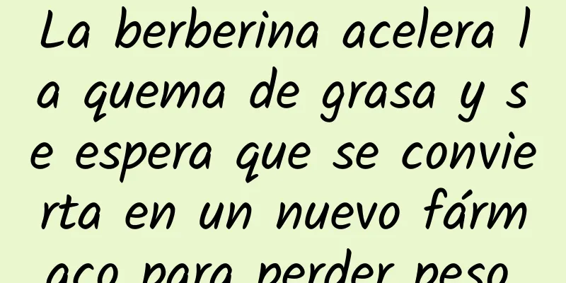 La berberina acelera la quema de grasa y se espera que se convierta en un nuevo fármaco para perder peso.