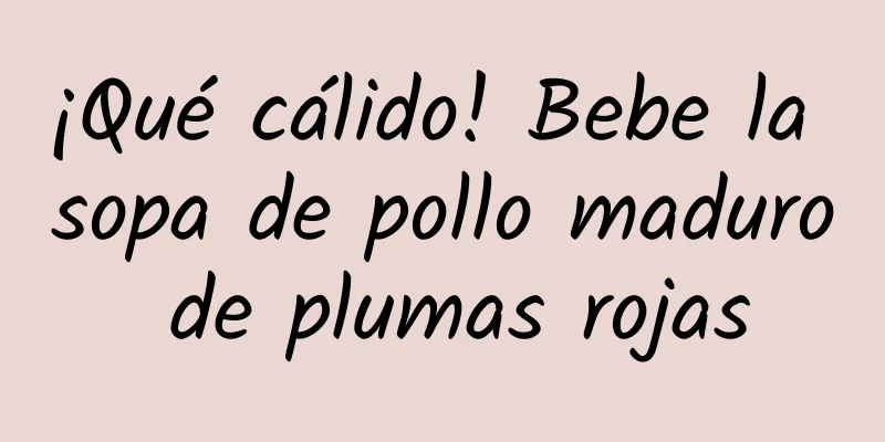 ¡Qué cálido! Bebe la sopa de pollo maduro de plumas rojas