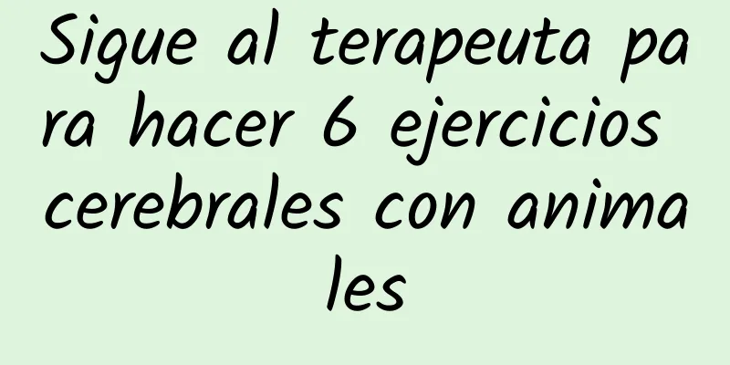 Sigue al terapeuta para hacer 6 ejercicios cerebrales con animales