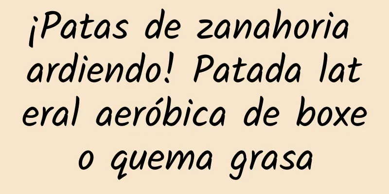 ¡Patas de zanahoria ardiendo! Patada lateral aeróbica de boxeo quema grasa