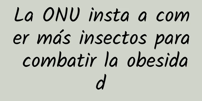 La ONU insta a comer más insectos para combatir la obesidad