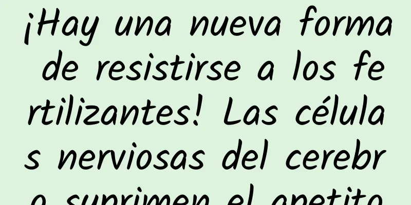 ¡Hay una nueva forma de resistirse a los fertilizantes! Las células nerviosas del cerebro suprimen el apetito