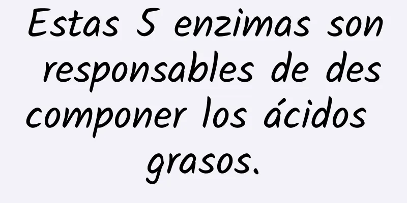 Estas 5 enzimas son responsables de descomponer los ácidos grasos.