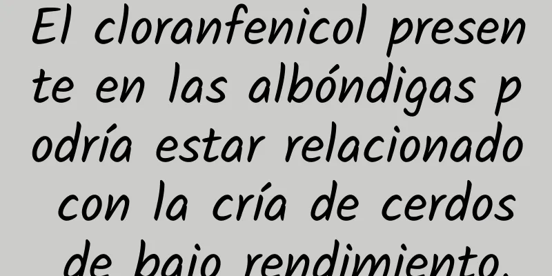 El cloranfenicol presente en las albóndigas podría estar relacionado con la cría de cerdos de bajo rendimiento.