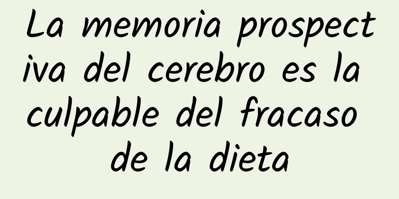 La memoria prospectiva del cerebro es la culpable del fracaso de la dieta