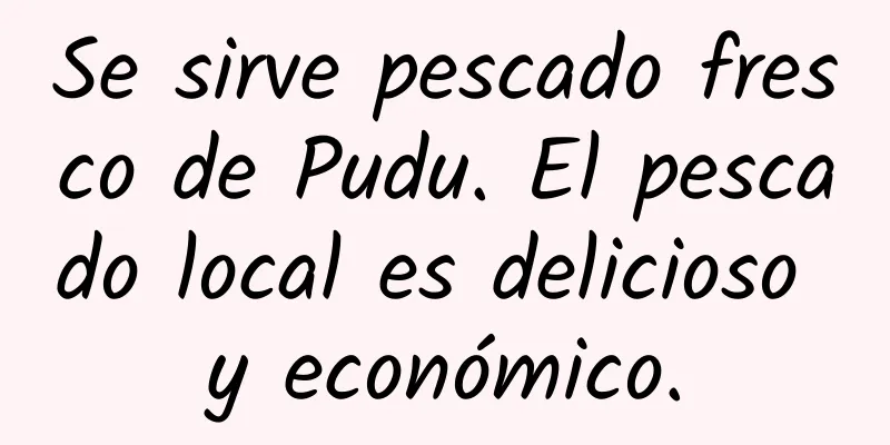 Se sirve pescado fresco de Pudu. El pescado local es delicioso y económico.
