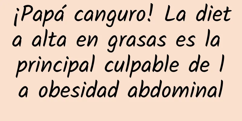 ¡Papá canguro! La dieta alta en grasas es la principal culpable de la obesidad abdominal