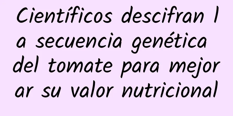 Científicos descifran la secuencia genética del tomate para mejorar su valor nutricional