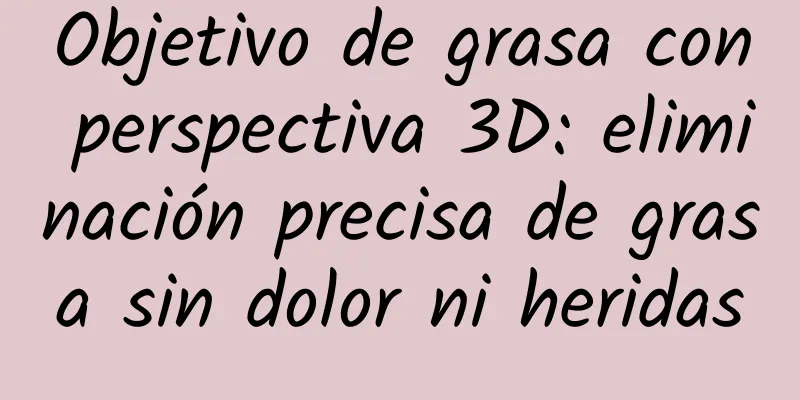 Objetivo de grasa con perspectiva 3D: eliminación precisa de grasa sin dolor ni heridas