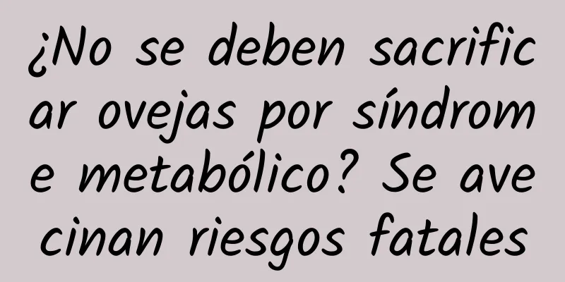 ¿No se deben sacrificar ovejas por síndrome metabólico? Se avecinan riesgos fatales