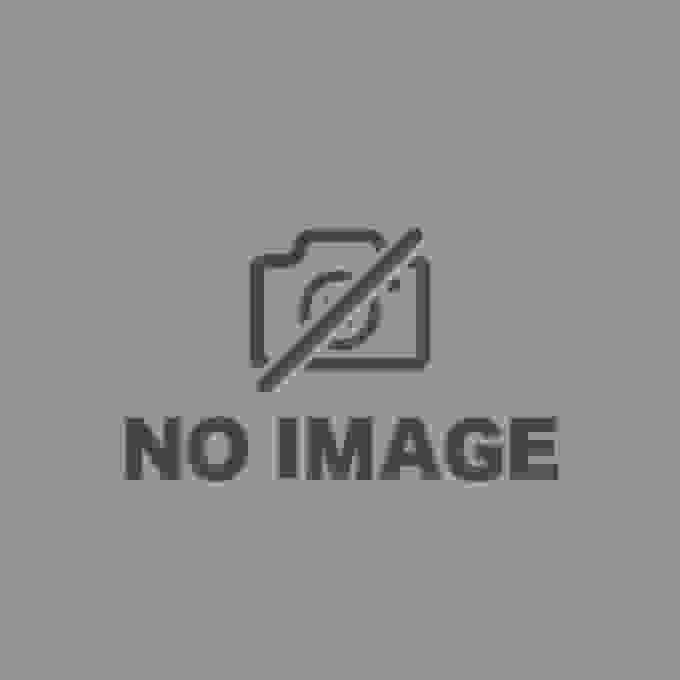Reseña de "Anime Shingacho" que rastrea el desarrollo de las películas de dibujos animados japonesas.