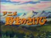 Atractivo y valoración del anime "Cry of the Wild"