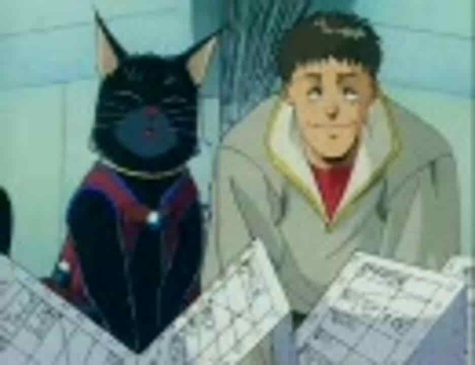 El atractivo y las críticas de "El enemigo es un pirata: Un festín de gatos": un anime imprescindible para los amantes de los gatos