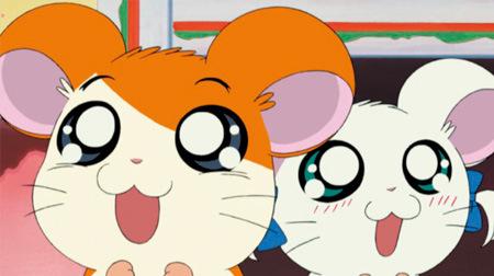 Hamtaro: Una revisión exhaustiva de la historia del hámster de curación y aventura.