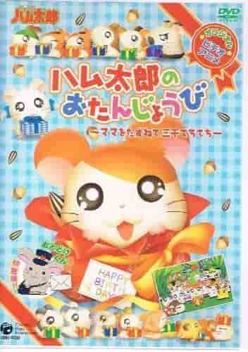 Cumpleaños de Hamtaro - En busca de mamá: Un viaje conmovedor y una celebración de cumpleaños
