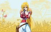 Grenadier: Smile Senshi - Reseña de personajes atractivos y una historia épica