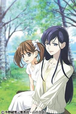 El atractivo y las críticas de "Maria-sama ga Miteru": un análisis exhaustivo de este conmovedor drama escolar.