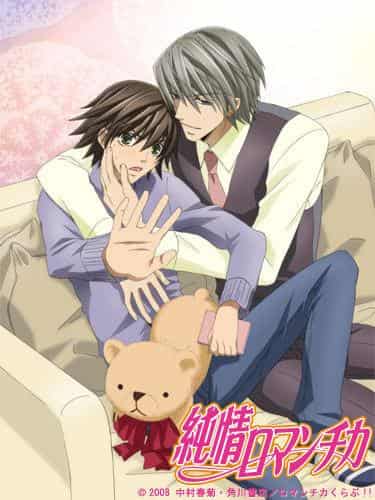 El atractivo y las críticas de "Junjo Romantica": Una obra conmovedora que los fans de BL deben ver
