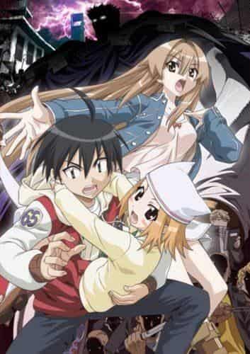 El atractivo y la evaluación de Seto no Hanayome OVA: Una historia más profunda y la evolución de los personajes