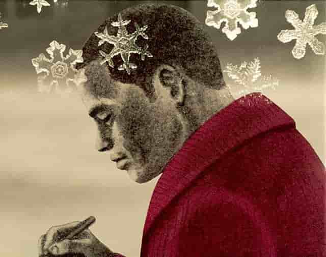 Reseña de "La vida de un poeta": Una historia conmovedora y su atractivo