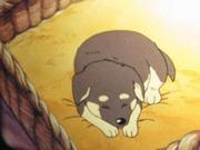 ¡Ganbare! Sirve al perro guía: Un análisis exhaustivo de la conmovedora historia y el atractivo de los personajes