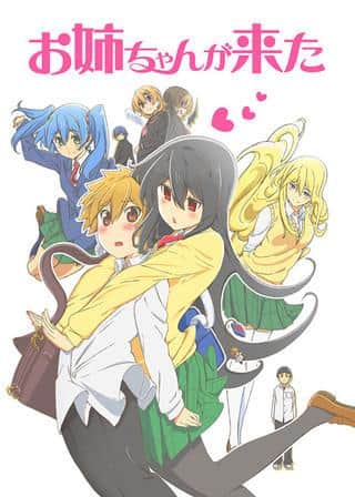 Mi Hermana Mayor Ha Llegado: El Atractivo y la Valoración del Anime Original No Transmitido en TV