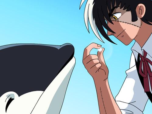 Black Jack Internet Edition: Nuevo atractivo y evaluación del clásico