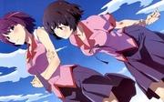 ¡Una reseña completa de la versión con comentarios de personajes de la serie Monogatari! ¿Cuales son los nuevos encantos de estos encantadores personajes?