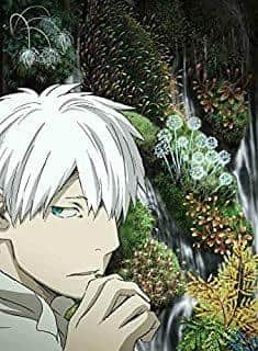 Atractivo y evaluación de "Mushishi Zoku-hen First Half Season": Desarrollo que supera las expectativas y visuales hermosos