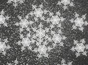 Reseña de "Burn, Snow, Burn": ¿Cuál es el atractivo de esta canción para todos?