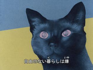 Cat's Eye Love: El atractivo y las reseñas de la versión de Minna no Uta