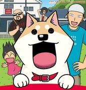 Mi querida Mooko: ¿Cuál es el atractivo de este anime conmovedor y relajante que representa la vida cotidiana de un gato?
