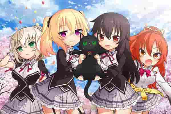 Nora, Princesa y Corazón de Gato Callejero: Una reseña de los encantadores personajes y la conmovedora historia
