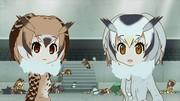 El atractivo y las impresiones de la colaboración Kemono Friends x Anisama 2017