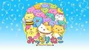 Reseña de "Mitchiri Neko": ¡Un anime imperdible para los amantes de los gatos!
