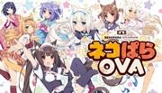 El atractivo y las críticas de Nekopara OVA: una experiencia de anime imperdible para los amantes de los gatos