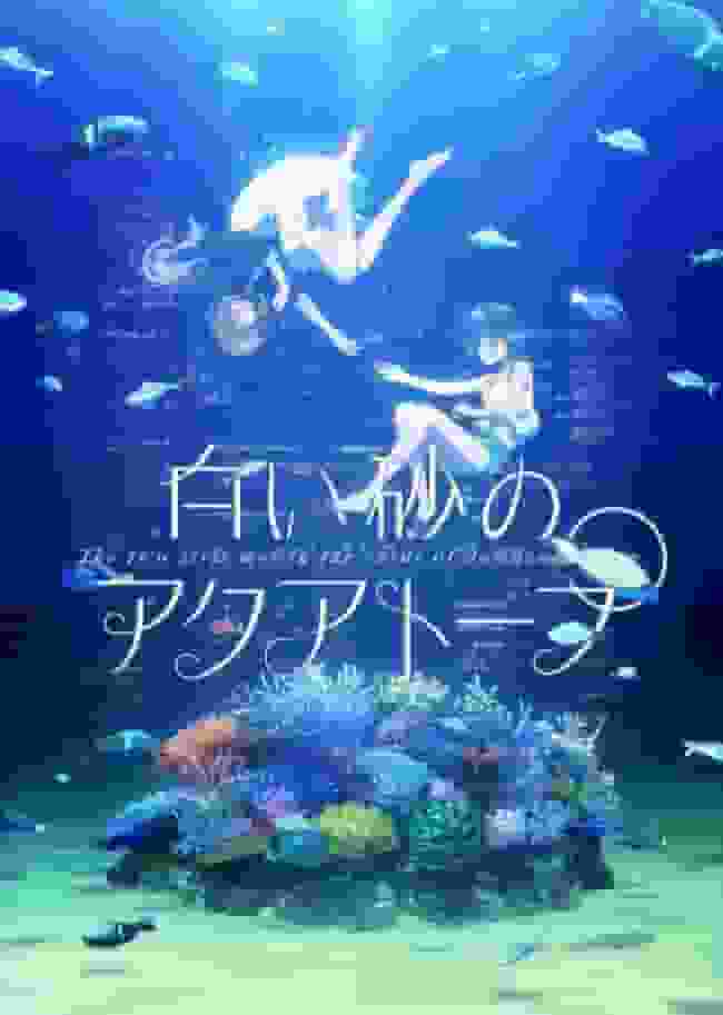 "Acutopo de Arena Blanca": Una revisión exhaustiva del hermoso mundo de un acuario y su historia de crecimiento.